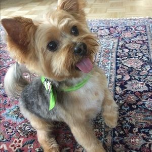 Meet your Posher, Elizabeth